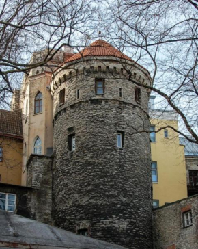 Rapunzel Tower Apartment in Tallinn